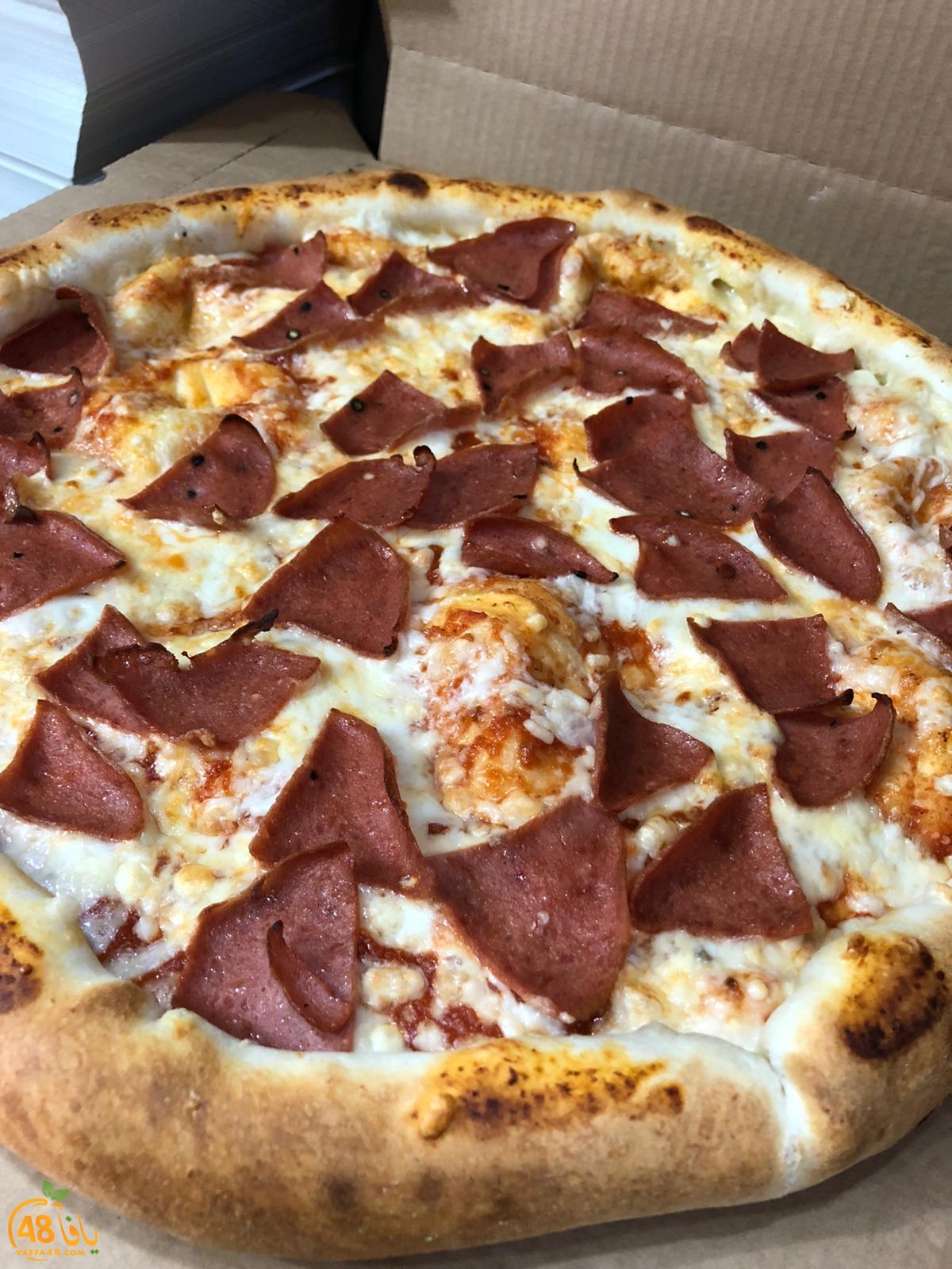 WhatsApp Image 2021-01-17 at 1.47.52 PM (2).jpeg